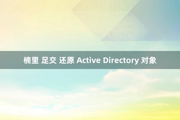 楠里 足交 还原 Active Directory 对象